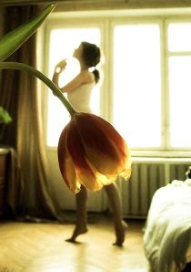 perfectly-timed-photos-35