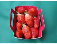 Fraises