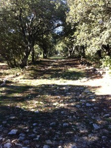 Chemin des Pénitents