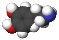 Dopamine : Neurotransmetteur impliqué dans les processus d'envie, de désir, de plaisir ... mais aussi de vomissements !
