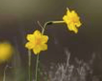 Le réchauffement climatique et les gilets jaunes sur les rond-points