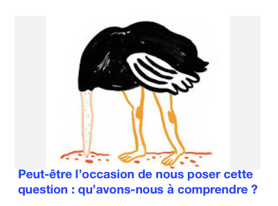 Le Covid-19 nous donnerait-il matière à comprendre quelque chose ?