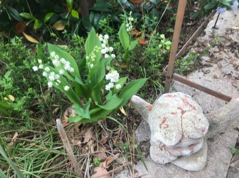 Le 1er mai 2020, c'est aussi le jour où l'on peut se souhaiter beaucoup de bonheur